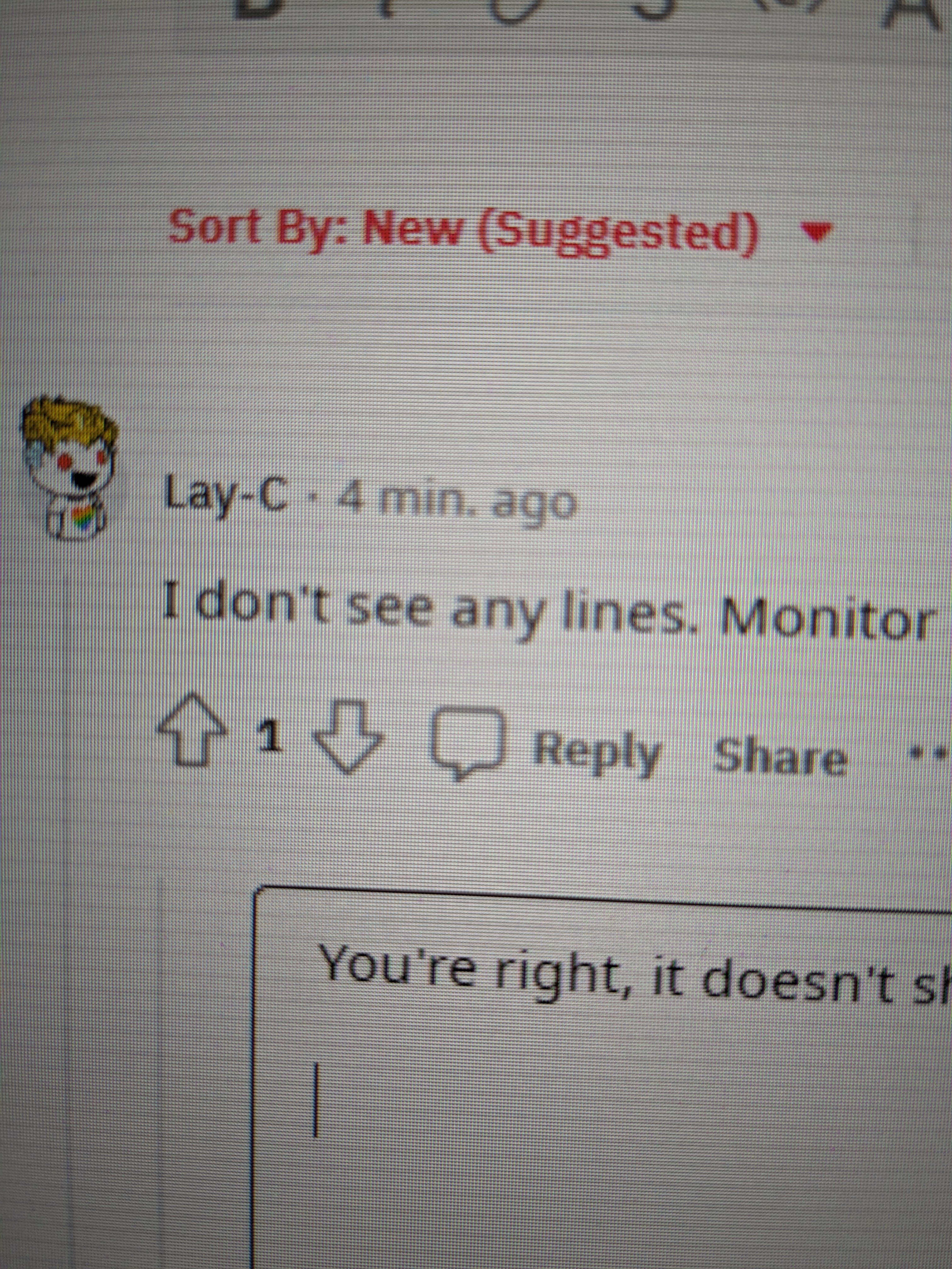 Close-up photograph showing horizontal lines across a computer monitor